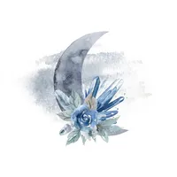 Bella Luna Boutique icon