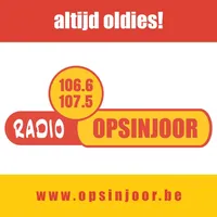 Radio Opsinjoor icon