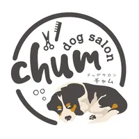 dog salon chum icon