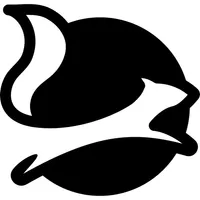 Nuggets - Structured diary icon