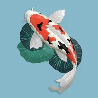 Koi Carp Stickers icon