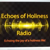 Echoes Of Holiness icon