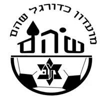 מכבי שהם icon