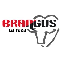 Brangus Paraguay icon