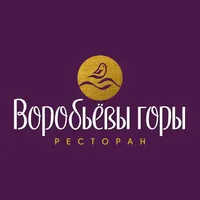 Воробьёвы горы Москва icon