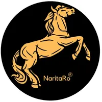 NaritaRo icon