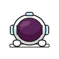 spaceBudget icon