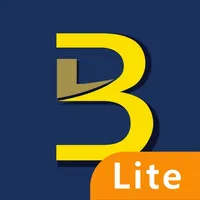 BIG POS Lite icon