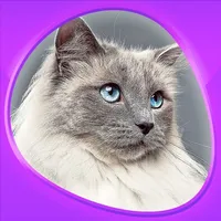 Animals 360 - Cats icon