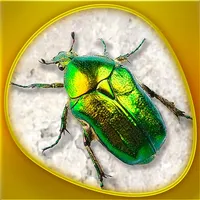 Animals 360 - Insecta Gold icon