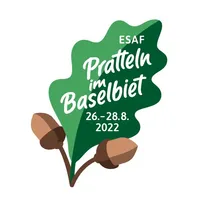 Helfer App ESAF 2022 icon