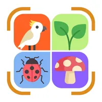 Identify Insects Plants Birds icon