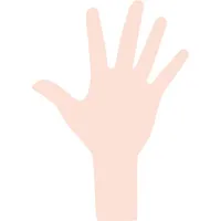 CleanHands icon