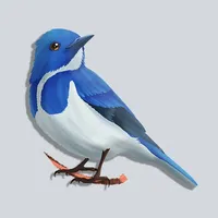 Bird Life Stickers icon