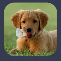 Dog Sounds - Clicker Trainer icon