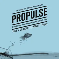 Festival ProPulse icon