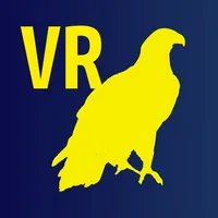 Fly Eagle VR icon