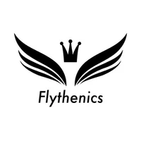 Flythenics icon