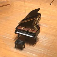 panfilius piano chords icon