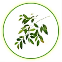 Olive Time Attendance System icon