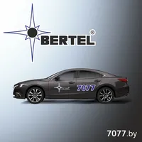 Bertel icon