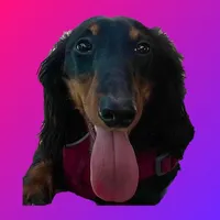 DogsBreed icon