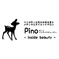 茨城県つくば市 【Pino】 icon