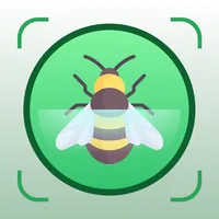 Insect Identification Bug Bite icon