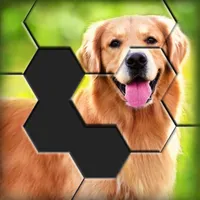 Hexa World Jigsaw icon