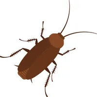 Cockroaches crush icon