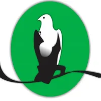 Eagles GA icon
