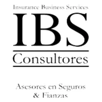 IBS Consultores icon