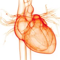 Antiarrhythmics for Afib icon