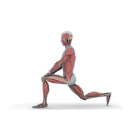 Stretch Anatomy icon