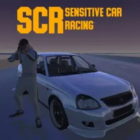 Sensitive Car Racing icon