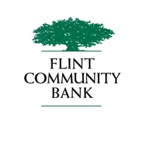 Flint Business Deposit icon