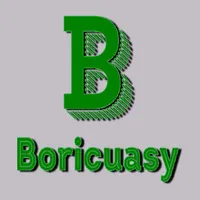 BoriCuasy Social Network icon