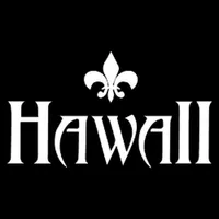 Hawaii Store icon