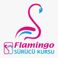 Flamingo Sürücü Kursu icon