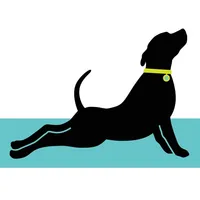 Updog Tulsa NEW icon