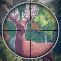 Deer Hunting Target icon