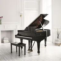 Steinway Room View icon