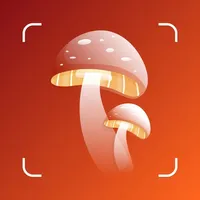 Mushroom Identification ++ icon