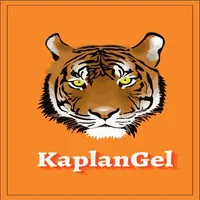 Kaplangel icon