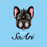 Salon SoAri icon