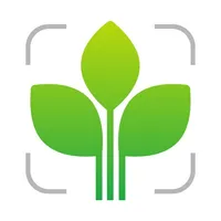 Leaf Identification Plant ID icon