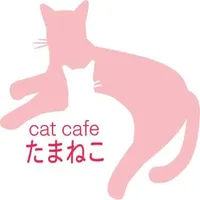 猫カフェたまねこ icon