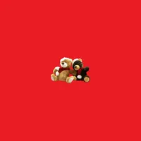 CTF Bear App icon
