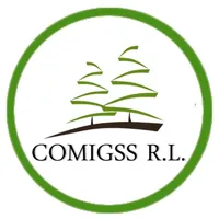 COMIGSS, R. L. icon