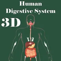 3D Human Digestive System icon